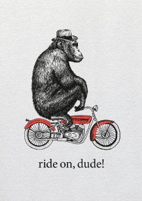 Dipster »Ride on dude«