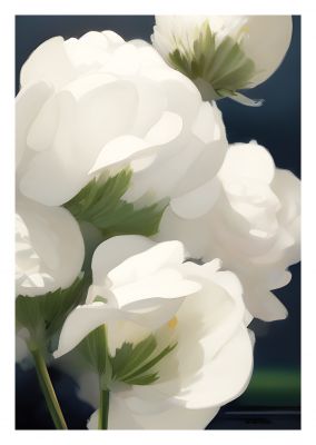 Whiteline »white roses«